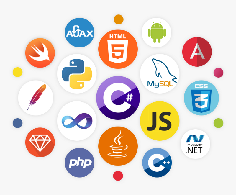 Read more about the article The Hottest Programming Language to Learn in 2025